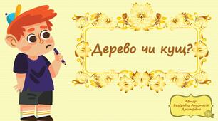 Дидактична гра "Кущ чи дерево" (інтерактивна)