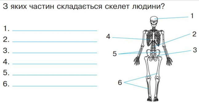 04012fjb-4a29-744x387.png