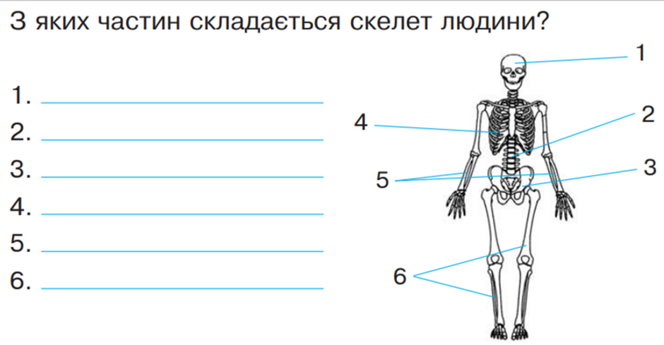 04012fjn-b6f5-940x489.png