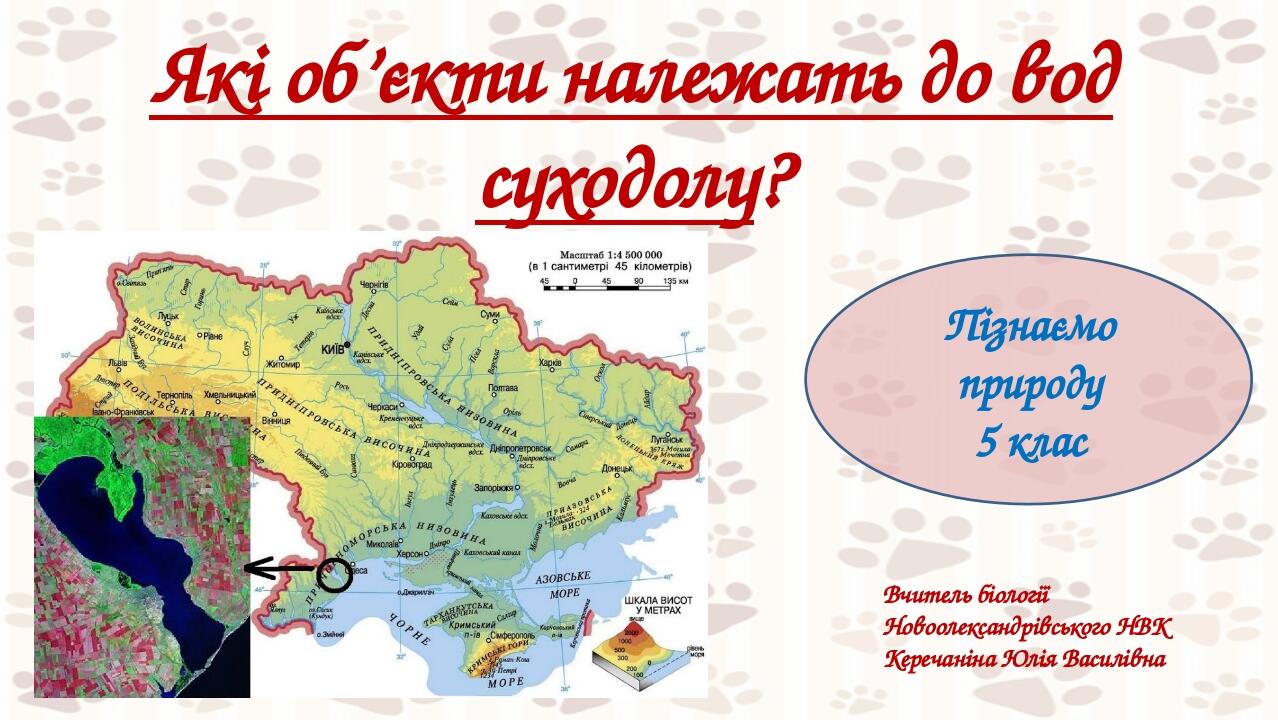 Які об’єкти належать до вод суходолу? Вчитель біології Новоолександрівського НВК Керечаніна Юлія Василівна Пізнаємо природу 5 клас