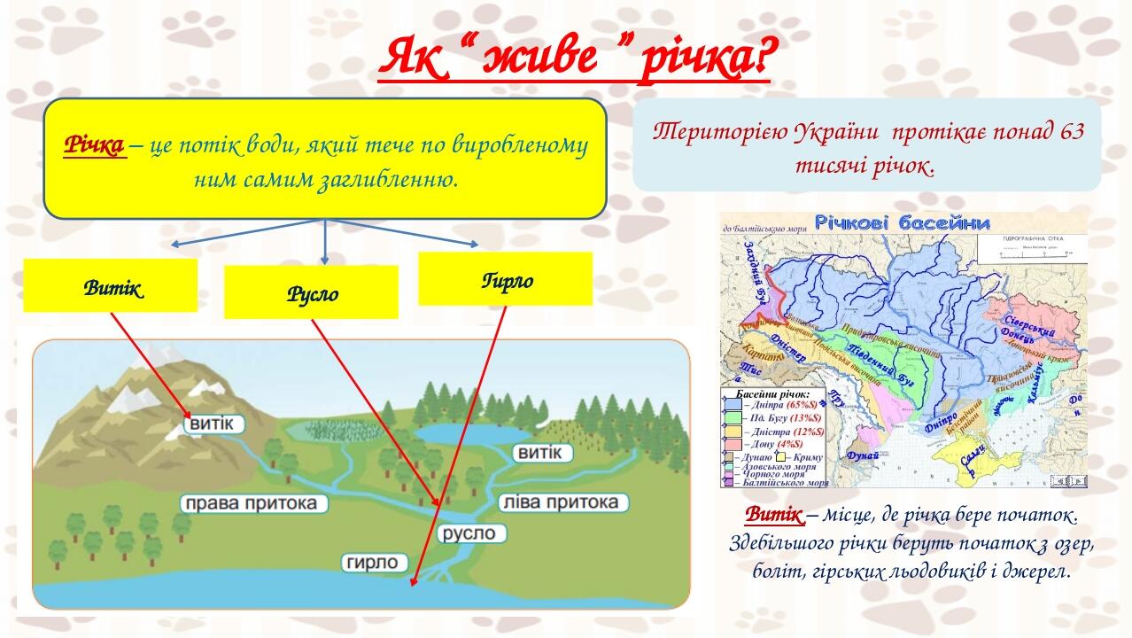 кол Витік – місце, де річка бере початок. Здебільшого річки беруть початок з озер, боліт, гірських льодовиків і джерел. Як “ живе ” річка? Річка – ...