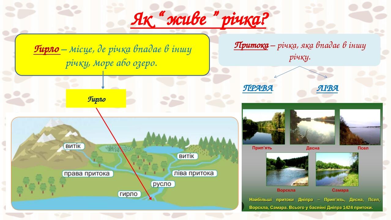 Як “ живе ” річка? Гирло – місце, де річка впадає в іншу річку, море або озеро. Притока – річка, яка впадає в іншу річку. Гирло ПРАВА ЛІВА