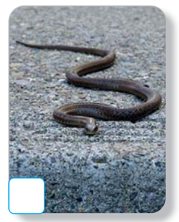 04012h7g-12c4-261x323.png