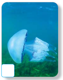 04012h7u-bf52-255x323.png