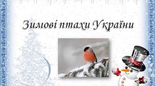 Презентація "Зимові птахи України"