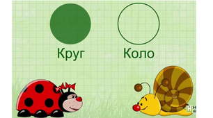 Коло. Круг