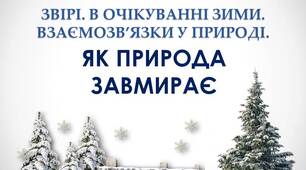 ЗВІРІ. В ОЧІКУВАННІ ЗИМИ. ВЗАЄМОЗВ’ЯЗКИ У ПРИРОДІ. ПРЕЗЕНТАЦІЯ