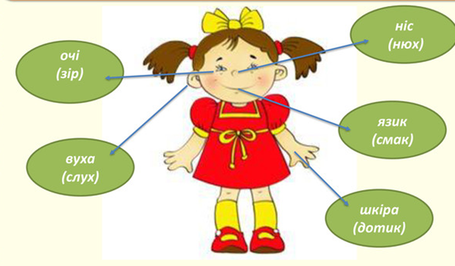 04012p37-7ee1-917x538.png
