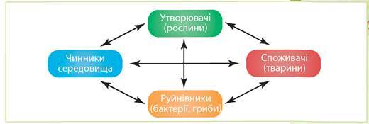 04012p9g-ee0e-520x175.jpg