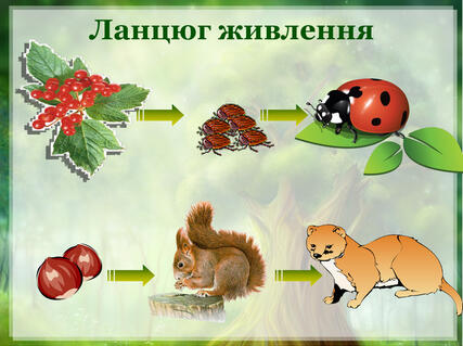 04012p9n-9e8a-427x319.jpg