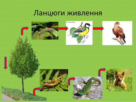 04012p9t-c828-440x330.jpg