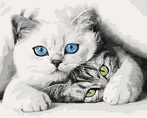 04012r5x-17e3-301x241.jpg