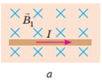 04012std-e073-202x168.png