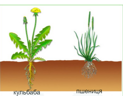 04012xlu-93f7-246x193.png