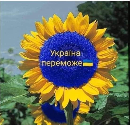 04012xme-4b41-552x532.jpg