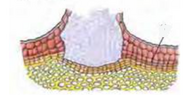 04012y9t-8951-186x95.png