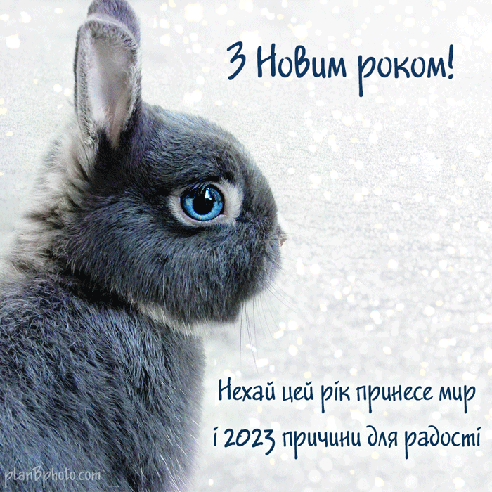 04012zfi-5cd7-700x700.gif