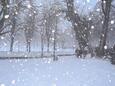 0401314m-4cbb-115x86.jpg