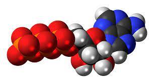 040134n8-2665-306x165.jpg