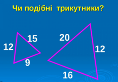 040138e9-0e3b-238x165.png