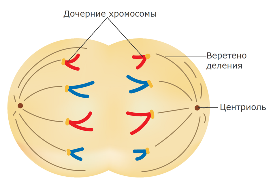 04013933-c8f8-940x663.png