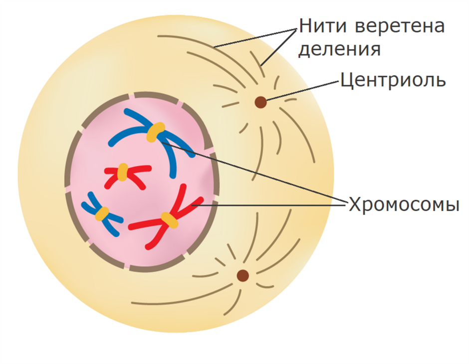 04013947-1643-940x730.png