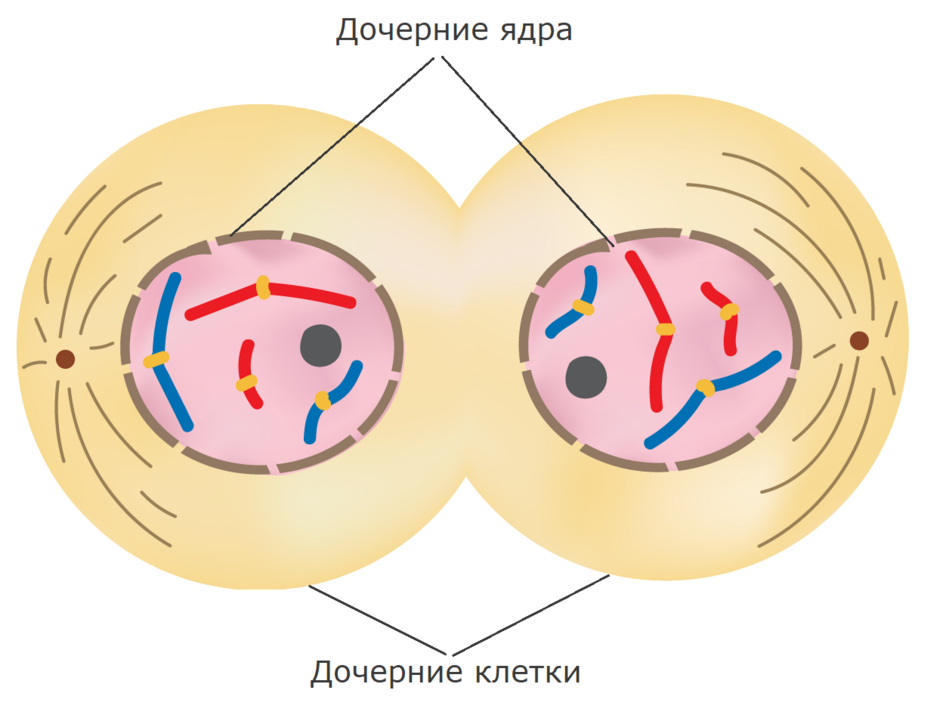 04013949-44b7-940x718.png