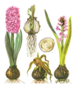 04013it5-9300-150x174.png