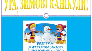 Зимові канікули. Пам'ятка "Правила безпечної поведінки дітей  під час зимових канікул". Правила ТБ.
