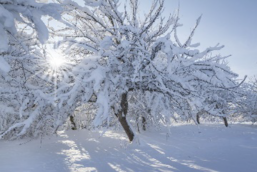 04013l6s-ef31-257x172.png