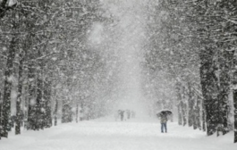 04013l7c-d525-265x168.png
