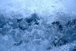 04013l88-6af4-255x170.png