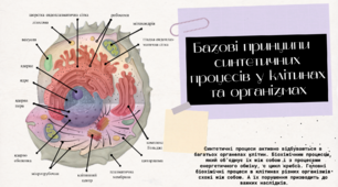Базові принципи синтетичних процесів у клітинах та організмах