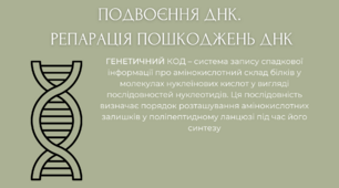 Подвоєння ДНК/репарація пошкоджень ДНК