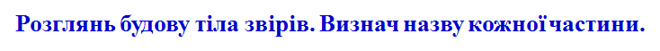 04013okq-ef81-734x57.png