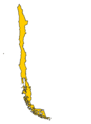 04013p23-2889-307x416.png
