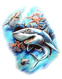 04013qok-e56a-198x253.png