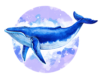 04013qoq-b33b-320x253.png
