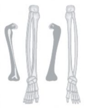 04013r2k-1cf6-275x347.png
