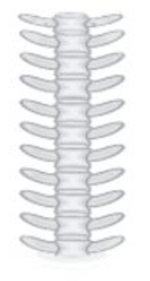 04013r3e-f91c-210x394.png
