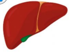 04013rql-8171-231x173.png