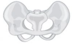 04013rrk-4e65-243x151.png