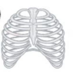 04013rs0-186f-258x261.png