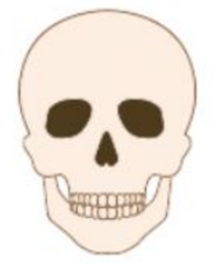 04013rsl-c772-193x241.png