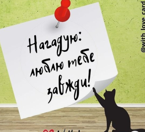 04013sg5-2e84-488x444.png