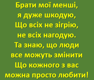 04013sl8-4eae-317x269.png