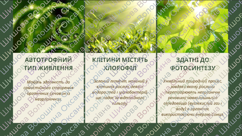 04013syv-8c7a-785x441.png