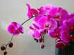 04013trs-f7d6-107x80.jpg