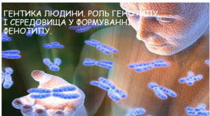 ГЕНТИКА ЛЮДИНИ. РОЛЬГЕНОТИПУ І СЕРЕДОВИЩА У ФОРМУВАННІ ФЕНОТИПУ. (Матеріал для використання на уроках біології з теми "Генетика", як у 9 класі так і в 11 класі курс "ПРИРОДНИЧІ НАУКИ")