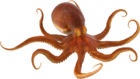 04013uj5-7e26-140x79.png